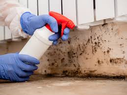 Best Mold Removal for HVAC Installations  in Bruceville Eddy, TX